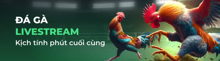 đá gà trực tuyến cục hot