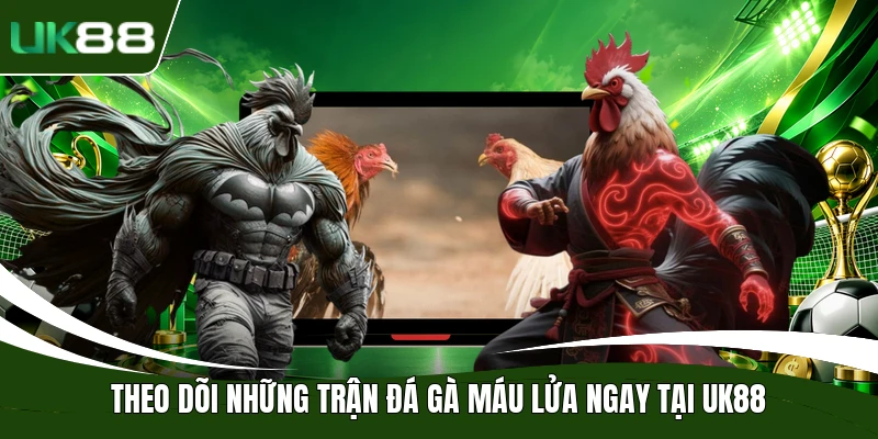 Theo dõi những trận đá gà máu lửa ngay tại UK88